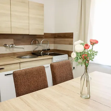 Horgony Szallas Apartment Bekesszentandras